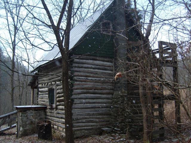 Valley Heights Road Alderson, WV 24910 - Photo 9 of 16 Back of cabin