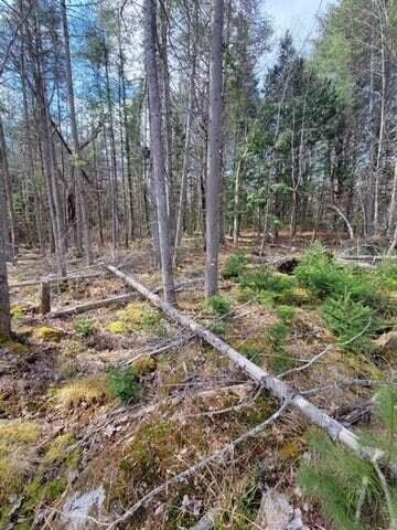 207 College Road Greene, ME 04236 - Photo 8 of 11 20220429160814122797000000-o
