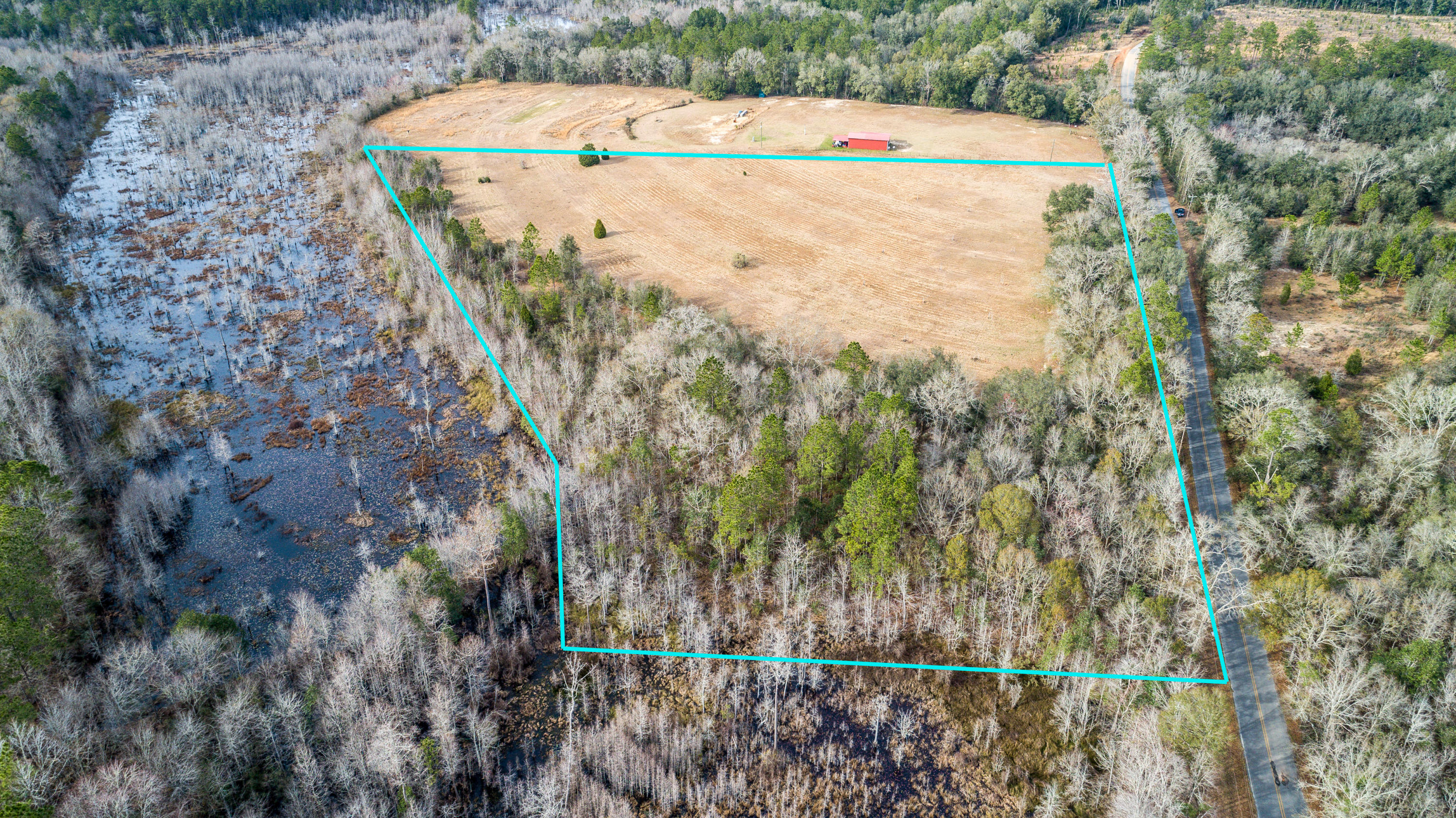 Xxx Mathews Road Westville, FL 32464 - Photo 8 of 10 12 Acres Mathews RDfd