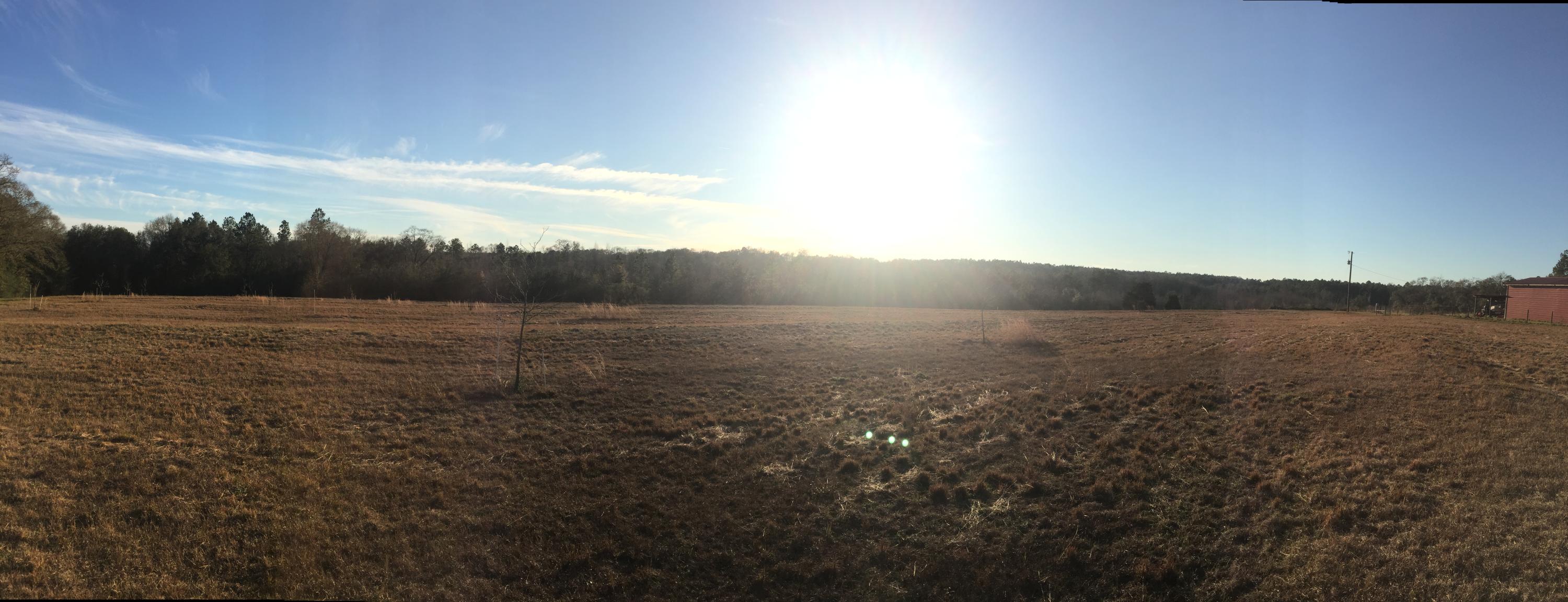 Xxx Mathews Road Westville, FL 32464 - Photo 10 of 10 12 Acres Mathews RD