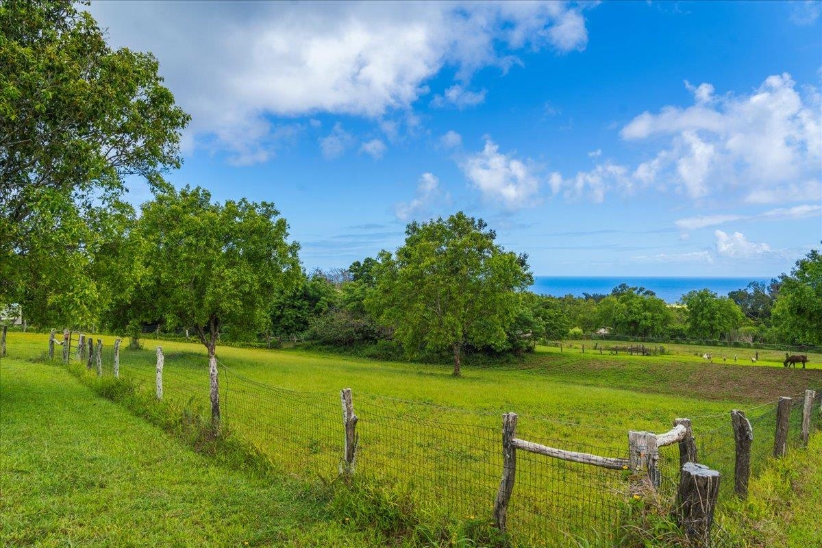 155 Manawai Place, Unit B Haiku, HI 96708 - Photo 19 of 32