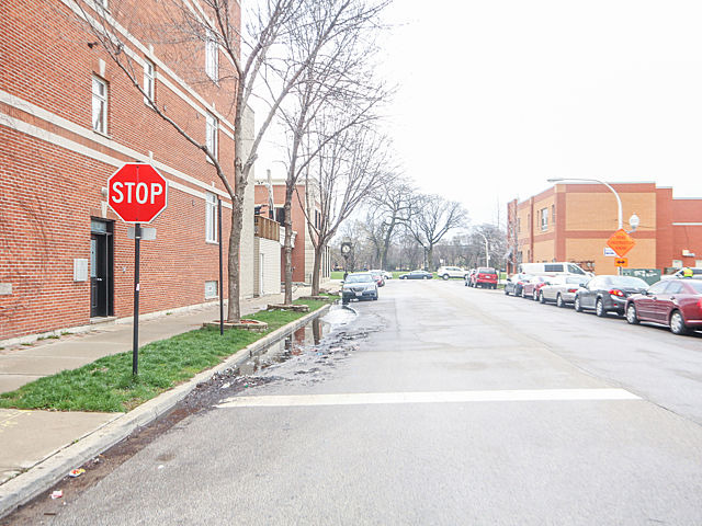 1300 West Fillmore Street, Unit 2 Chicago, IL 60607 - Photo 3 of 24