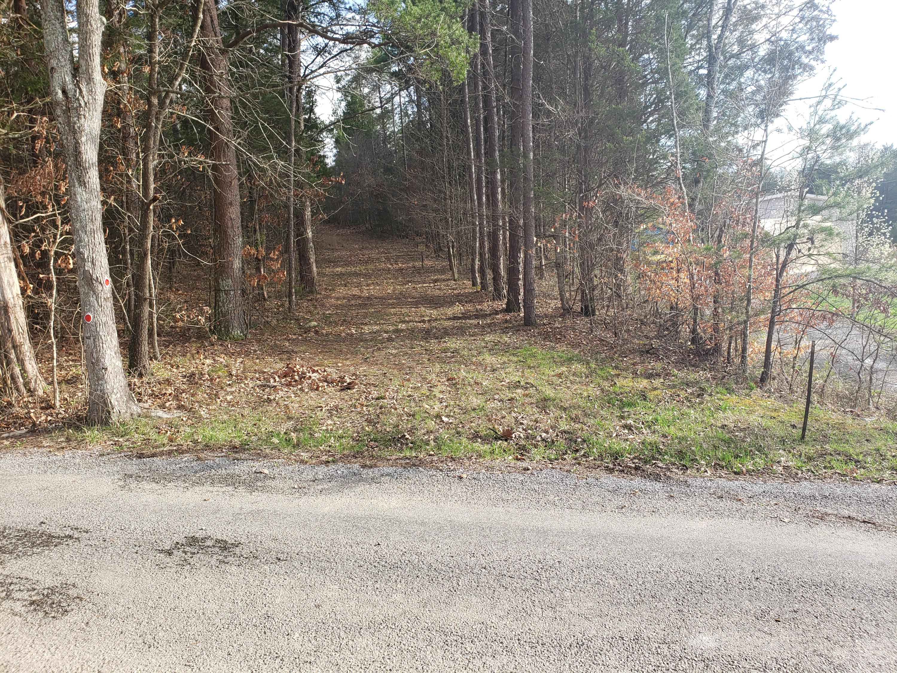 1940 Pilot Mountain Road Bulls Gap, TN 37711 - Photo 25 of 49 20200319_174559
