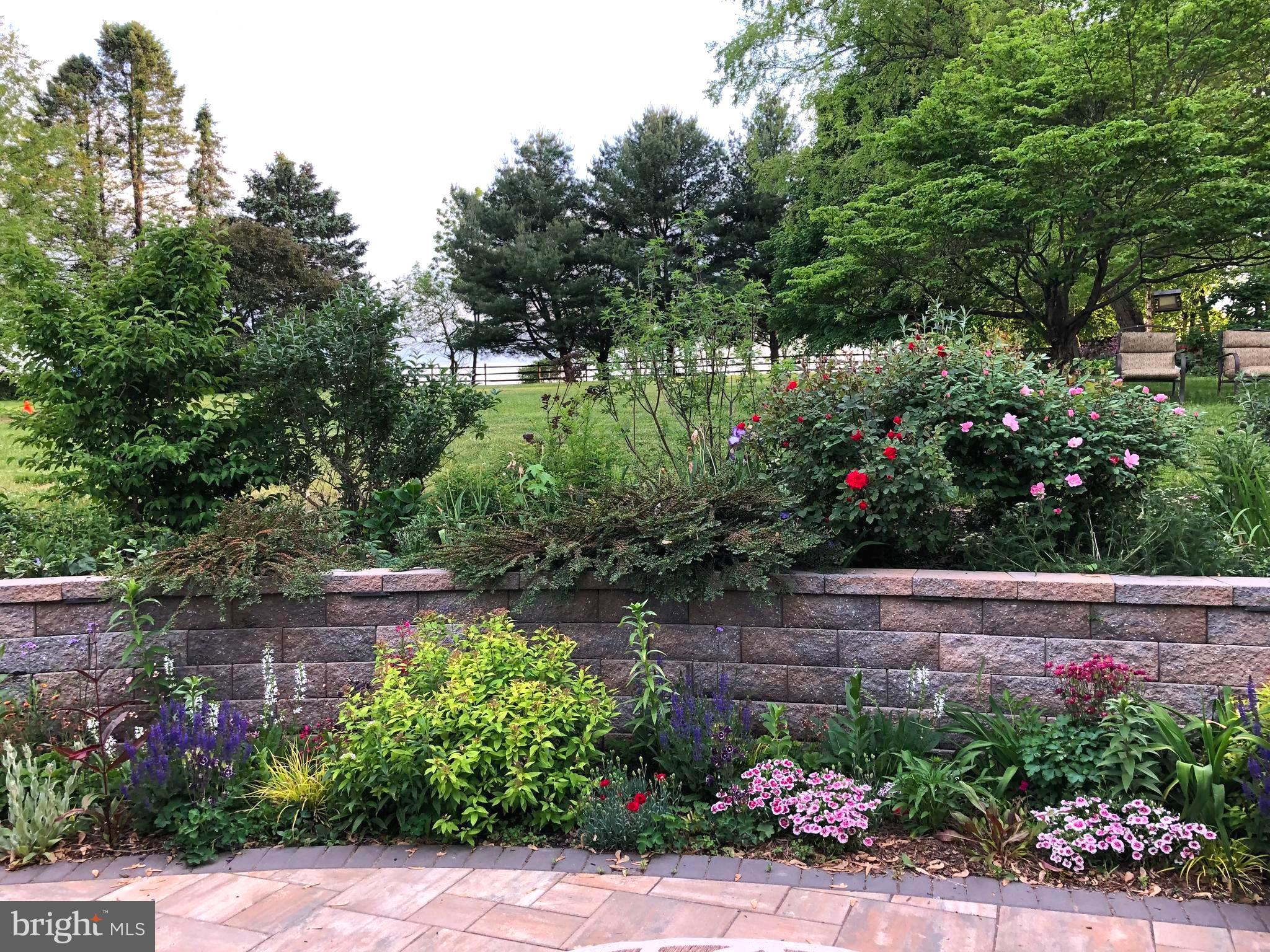 458 Rolling Hills Road Ottsville, PA 18942 - Photo 42 of 60 Patio blooms