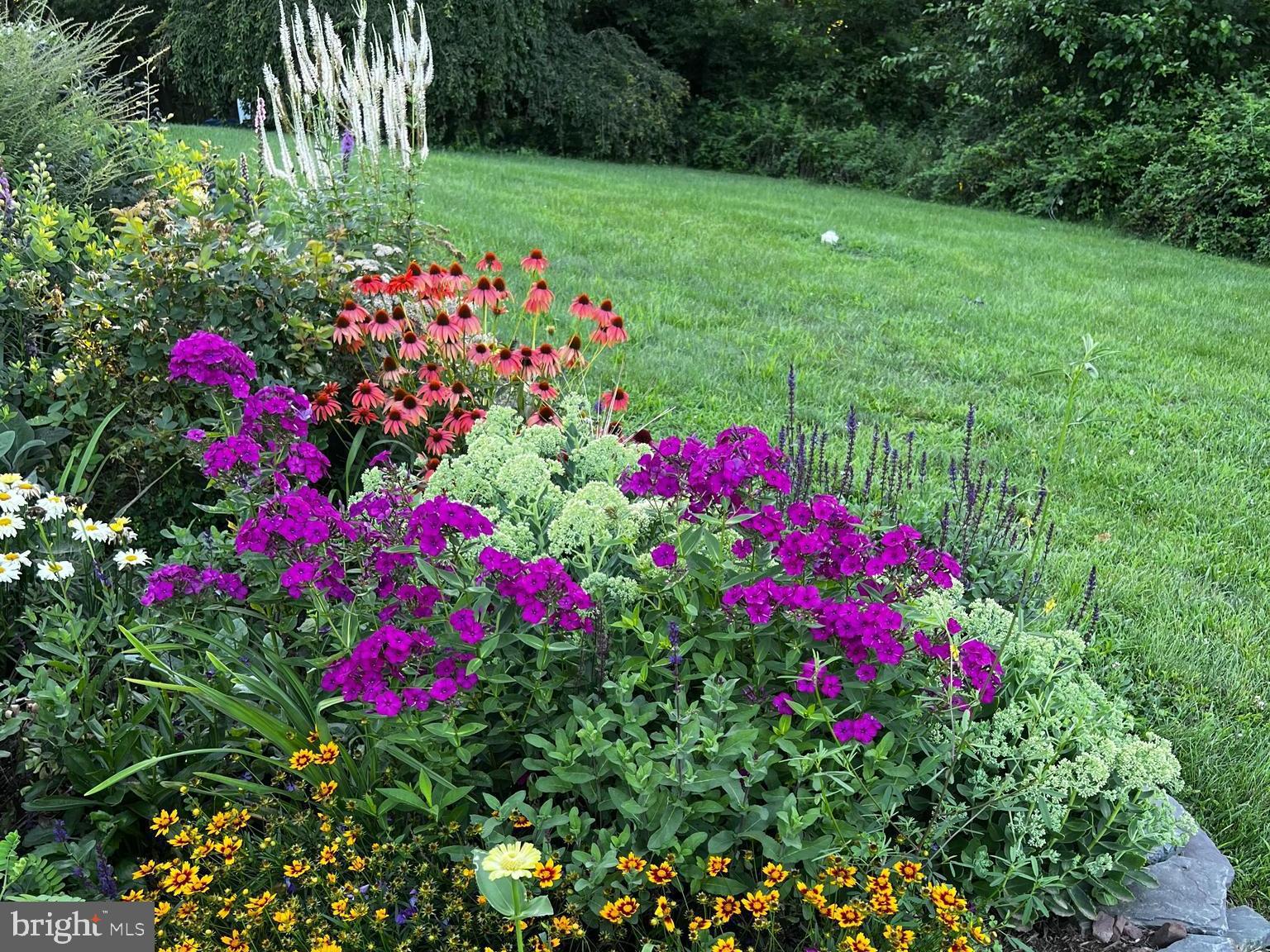 458 Rolling Hills Road Ottsville, PA 18942 - Photo 7 of 60 Perennials in bloom