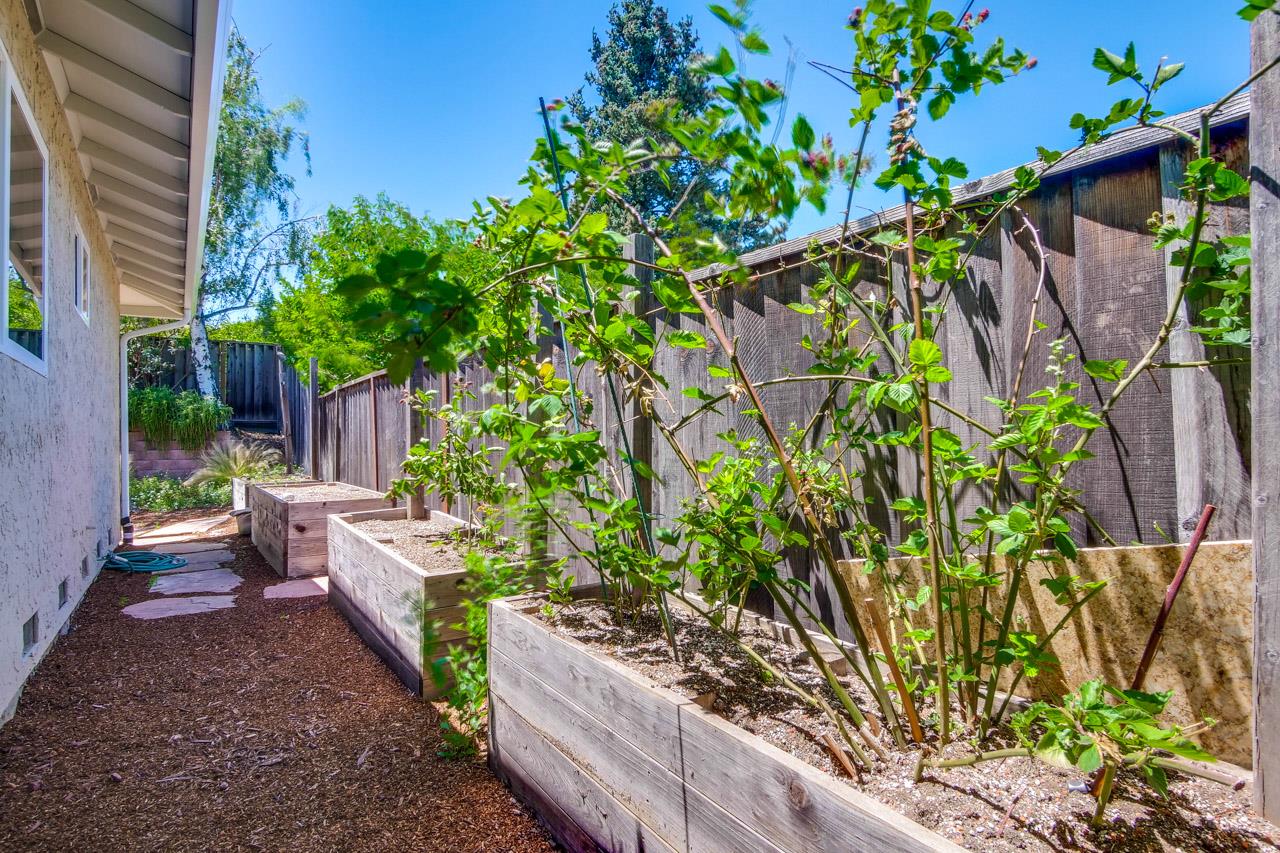 11131 Bubb Road Cupertino, CA 95014 - Photo 55 of 56 a backyard of a house with lots of green space