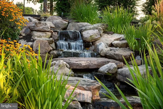 a view of a garden with chairs