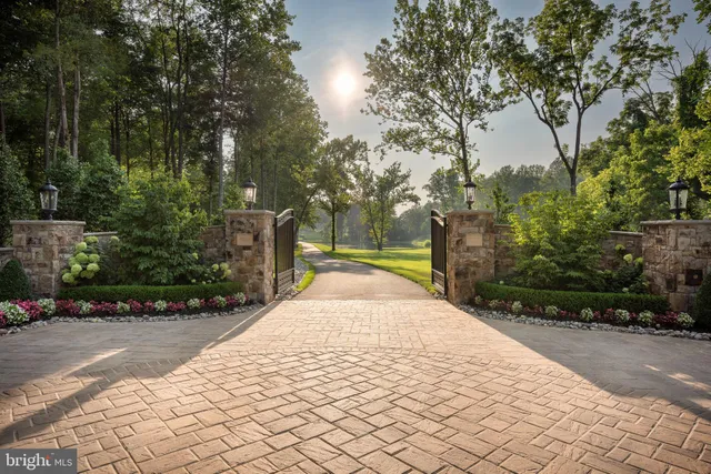a view of park with large trees