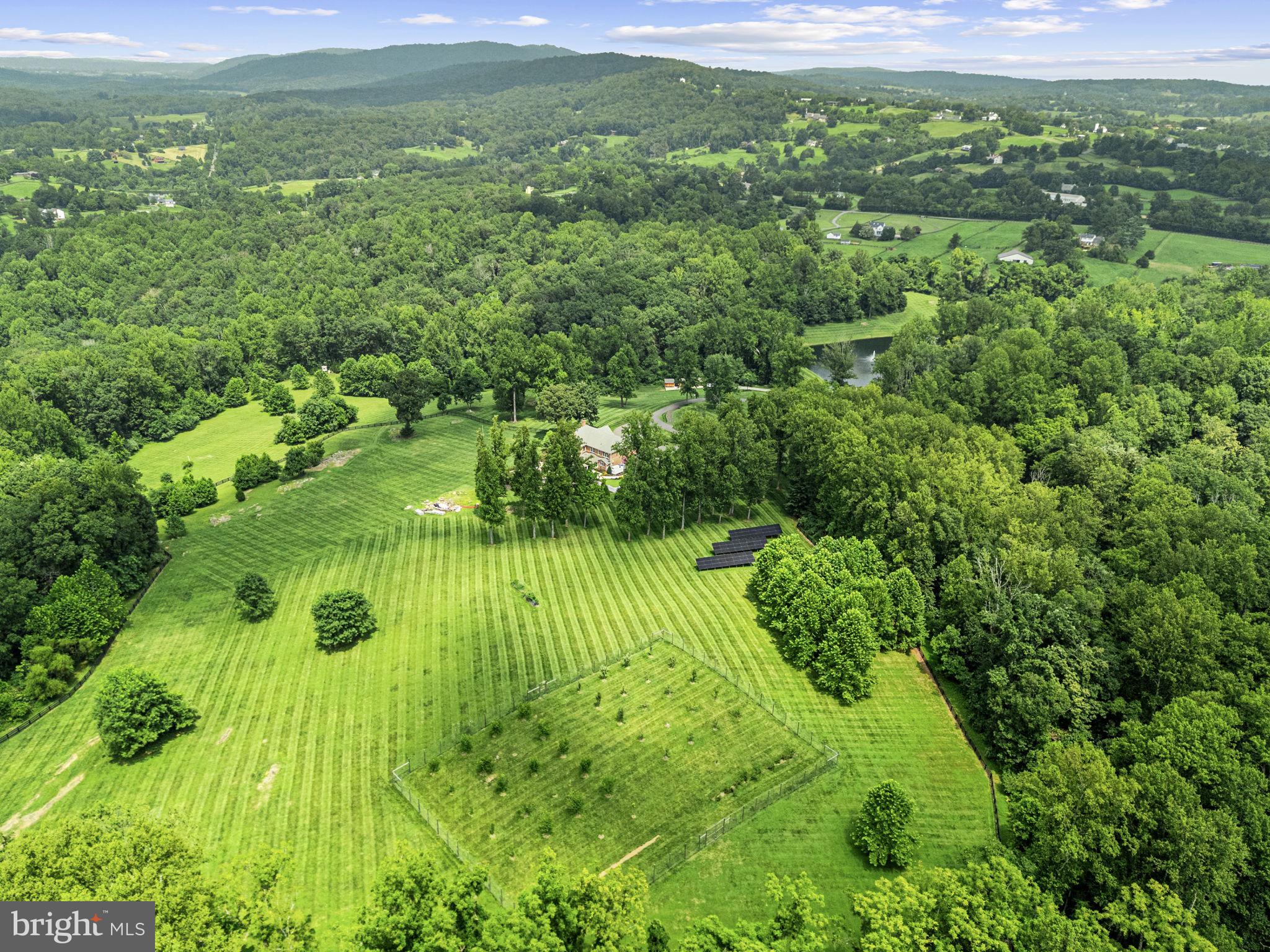7484 Wilson Road Warrenton, VA 20186 - Photo 73 of 81 a view of a lush green field
