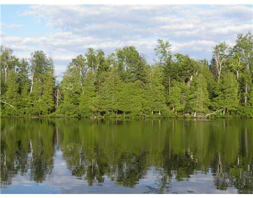 211 Dowell Mill Road Avon, ME 04966 - Photo 11 of 26 Exterior Front. Shoreline of the lot.