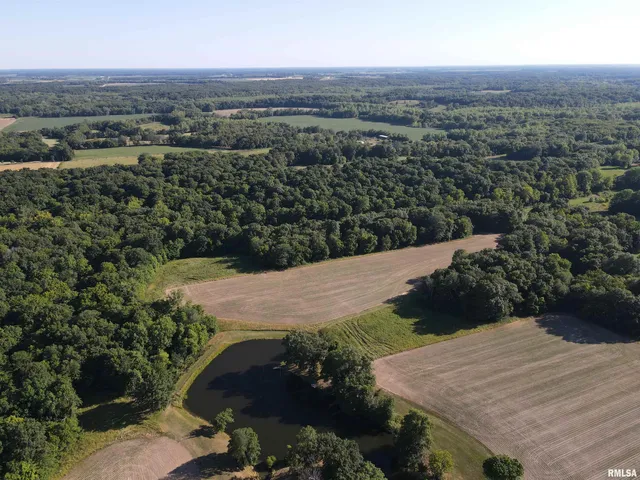 $1,200,000 | 10965 East 700th Avenue, Watson, IL 62473