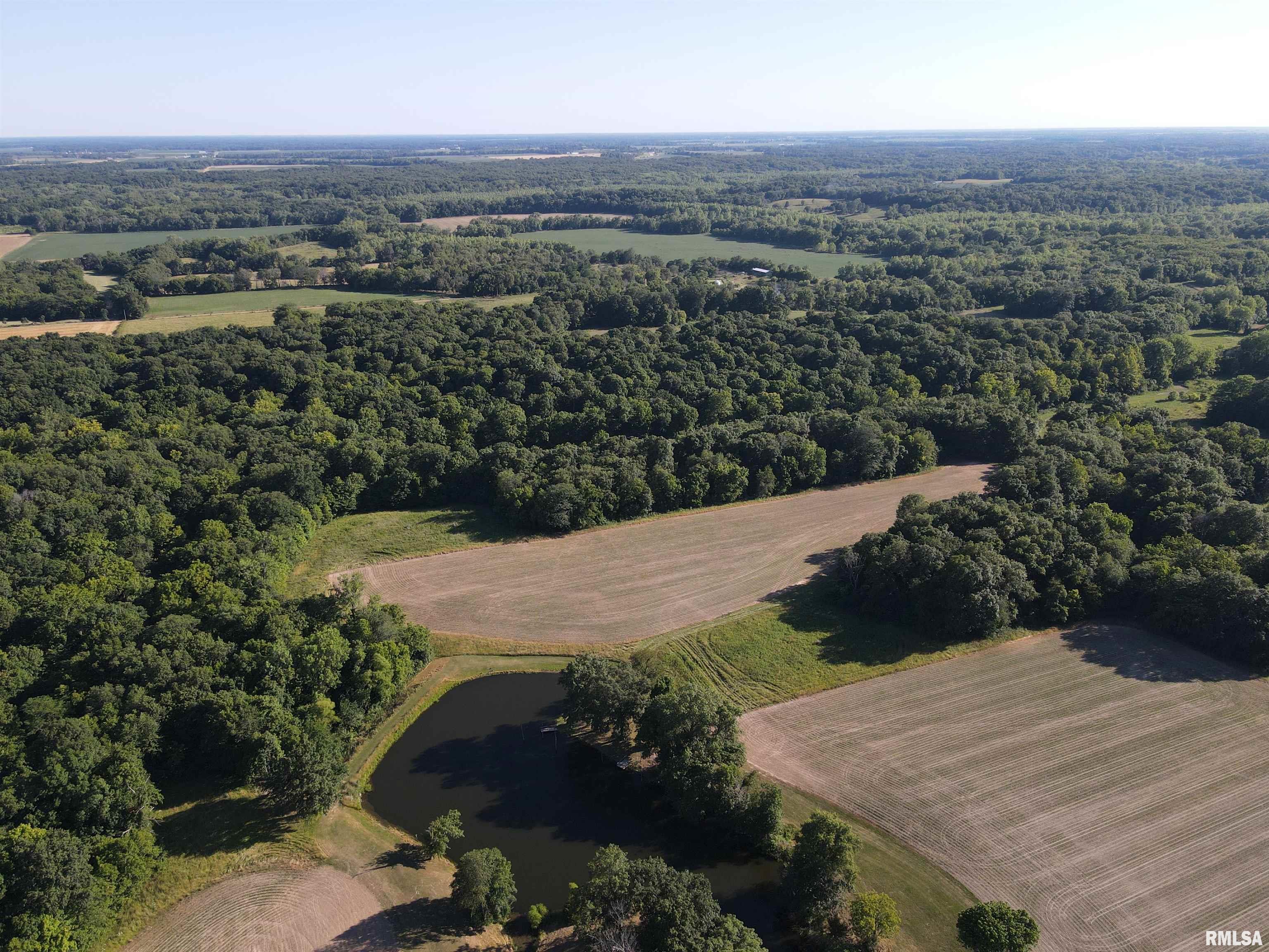 10965 East 700th Avenue Watson, IL 62473 - Photo 14 of 97