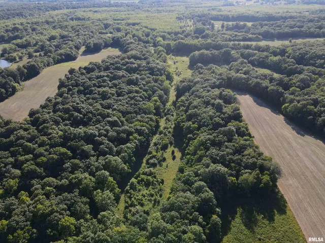 $1,200,000 | 10965 East 700th Avenue, Watson, IL 62473