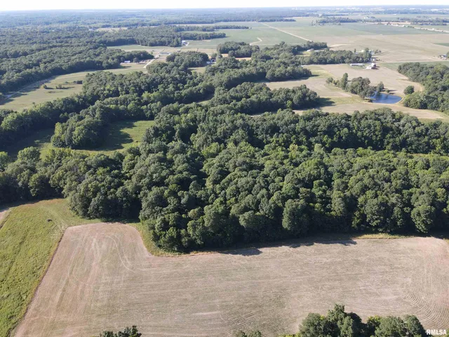 $1,200,000 | 10965 East 700th Avenue, Watson, IL 62473