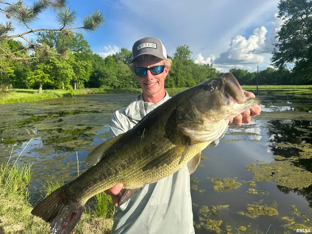 $1,200,000 | 10965 East 700th Avenue, Watson, IL 62473