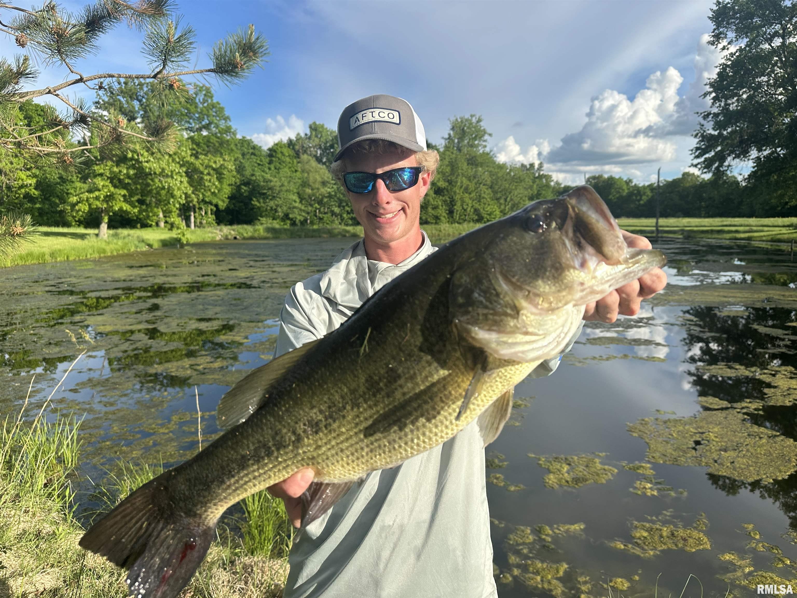 10965 East 700th Avenue Watson, IL 62473 - Photo 20 of 97