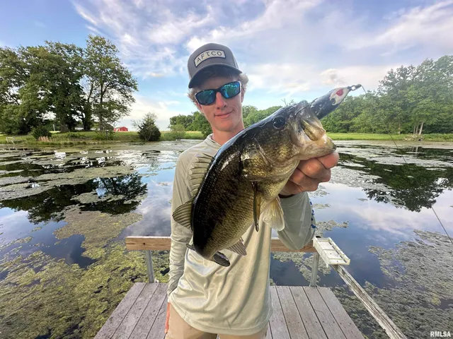 $1,200,000 | 10965 East 700th Avenue, Watson, IL 62473