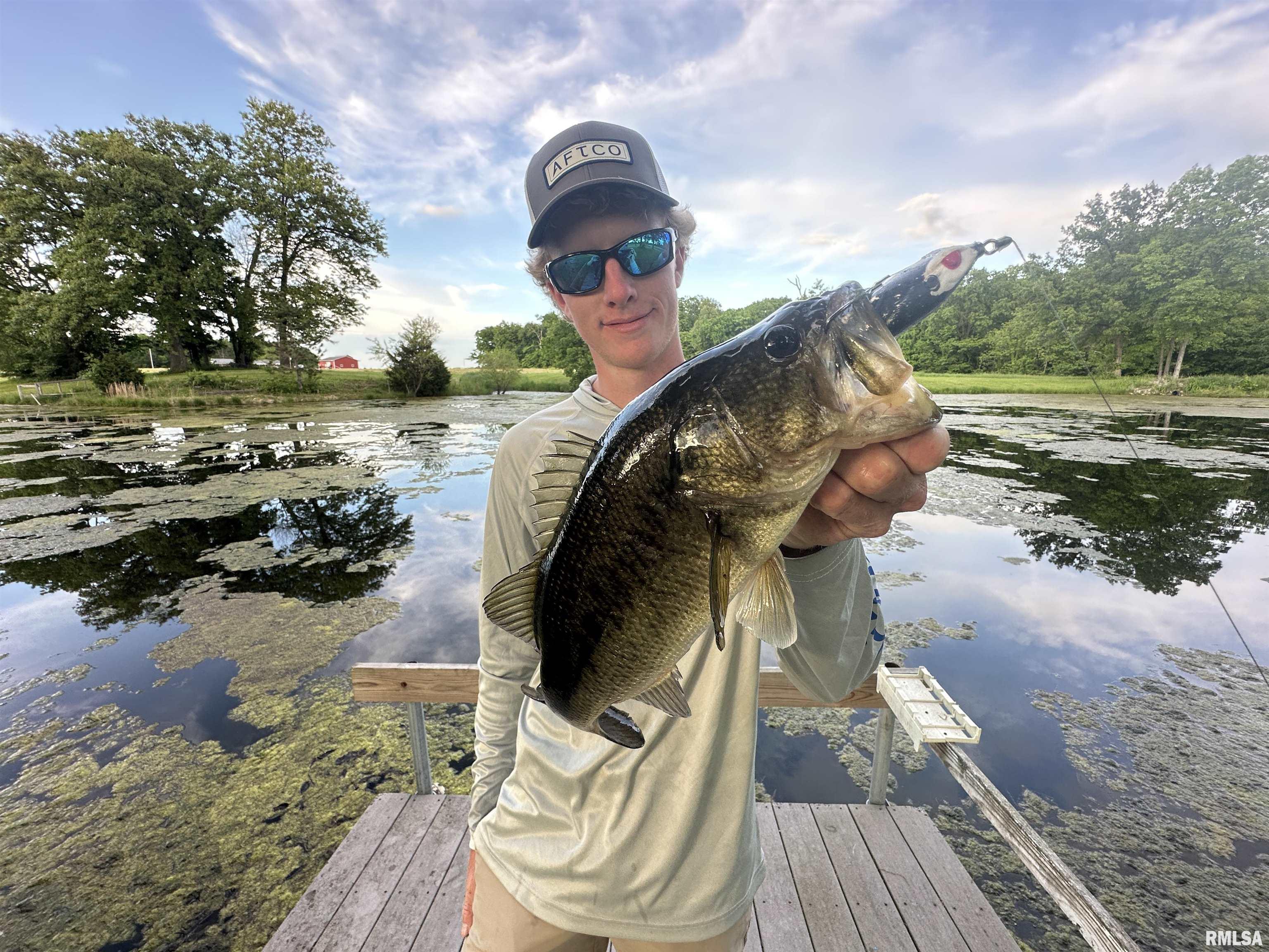 10965 East 700th Avenue Watson, IL 62473 - Photo 21 of 97