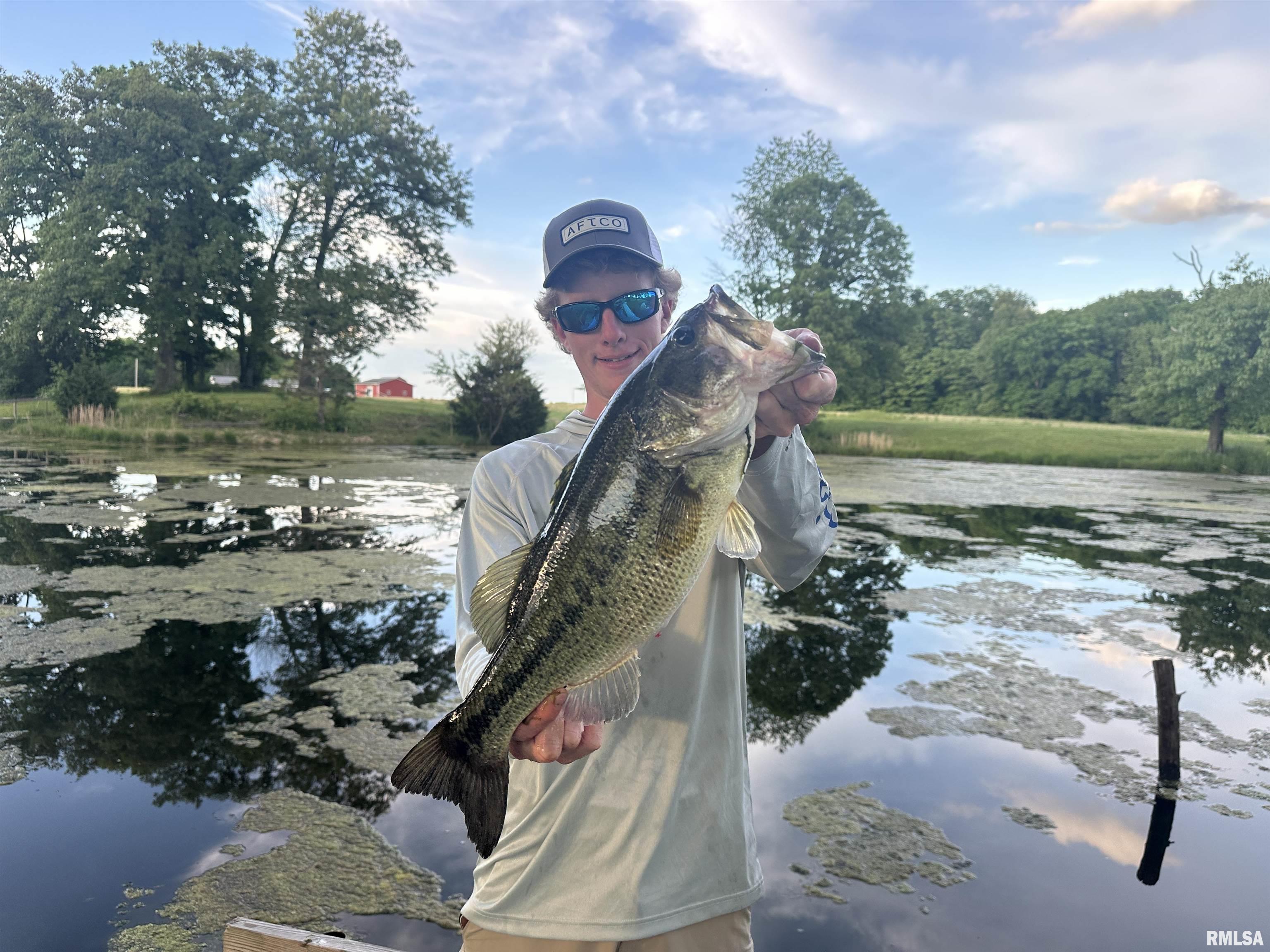 10965 East 700th Avenue Watson, IL 62473 - Photo 22 of 97