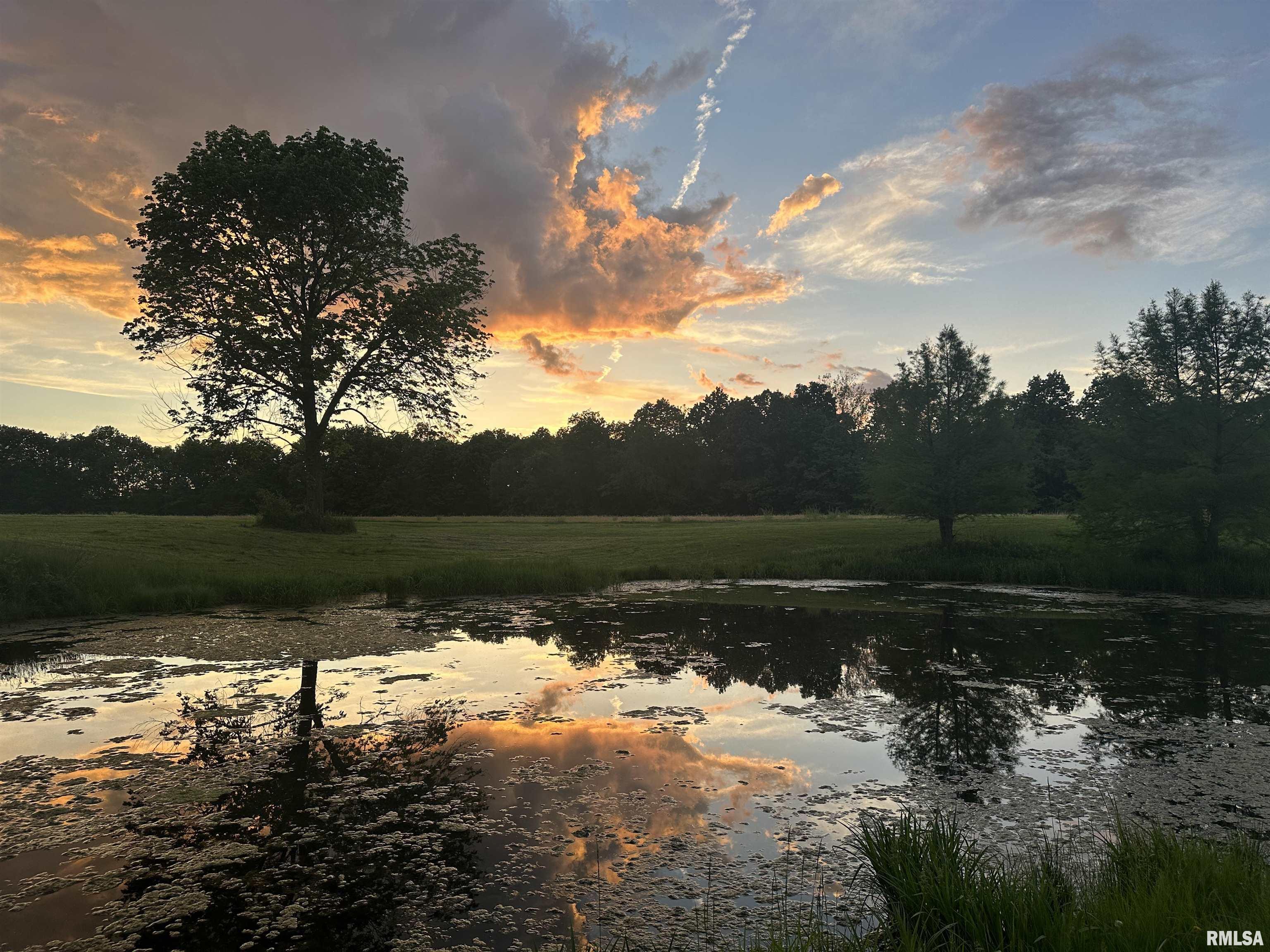 10965 East 700th Avenue Watson, IL 62473 - Photo 23 of 97