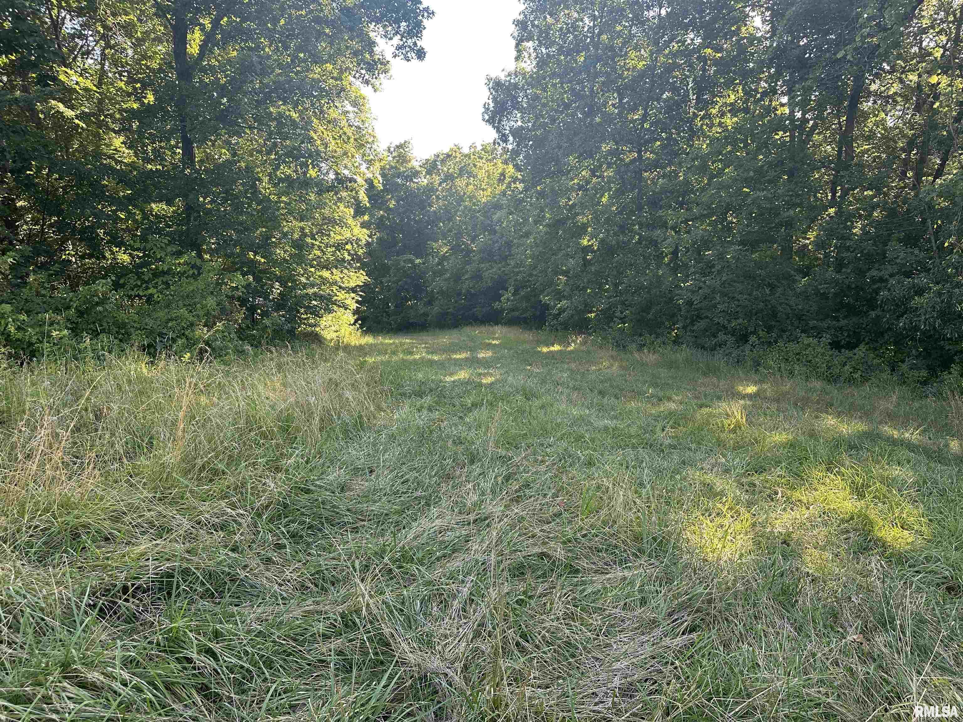 10965 East 700th Avenue Watson, IL 62473 - Photo 27 of 97