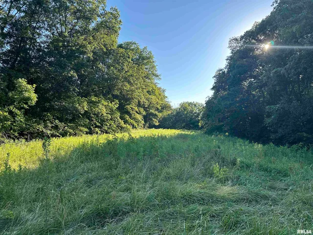 $1,200,000 | 10965 East 700th Avenue, Watson, IL 62473