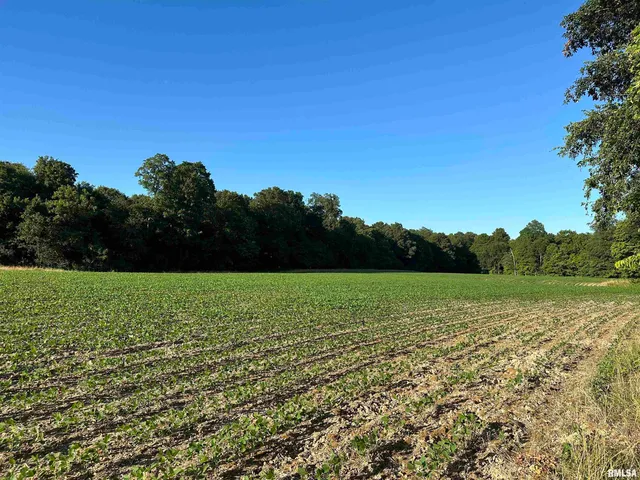 $1,200,000 | 10965 East 700th Avenue, Watson, IL 62473