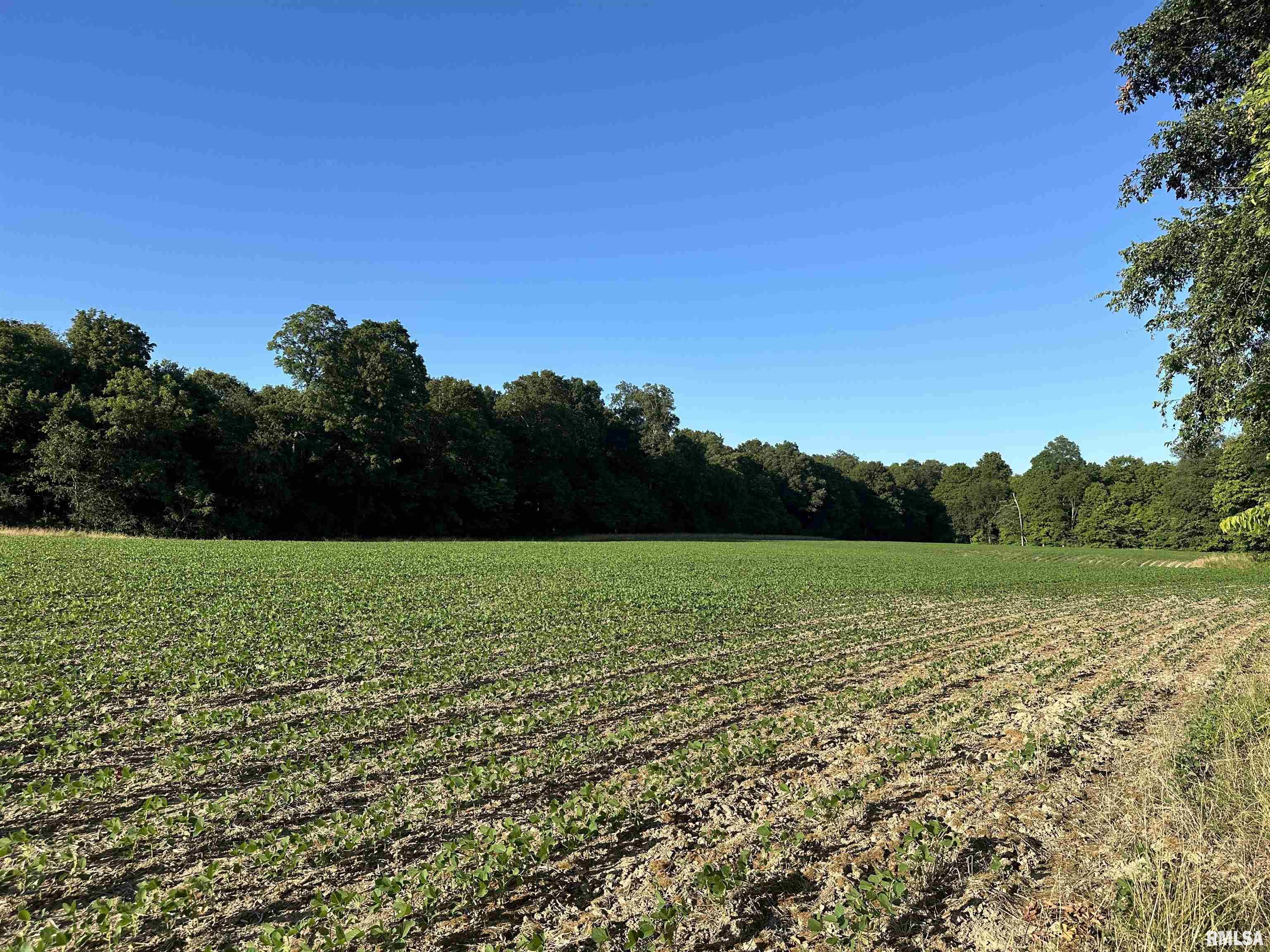 10965 East 700th Avenue Watson, IL 62473 - Photo 29 of 97