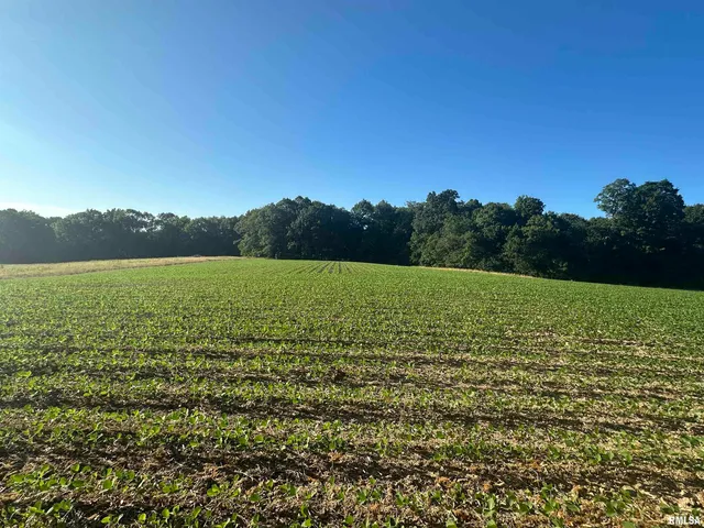 $1,200,000 | 10965 East 700th Avenue, Watson, IL 62473