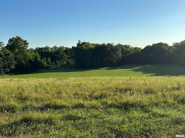 $1,200,000 | 10965 East 700th Avenue, Watson, IL 62473