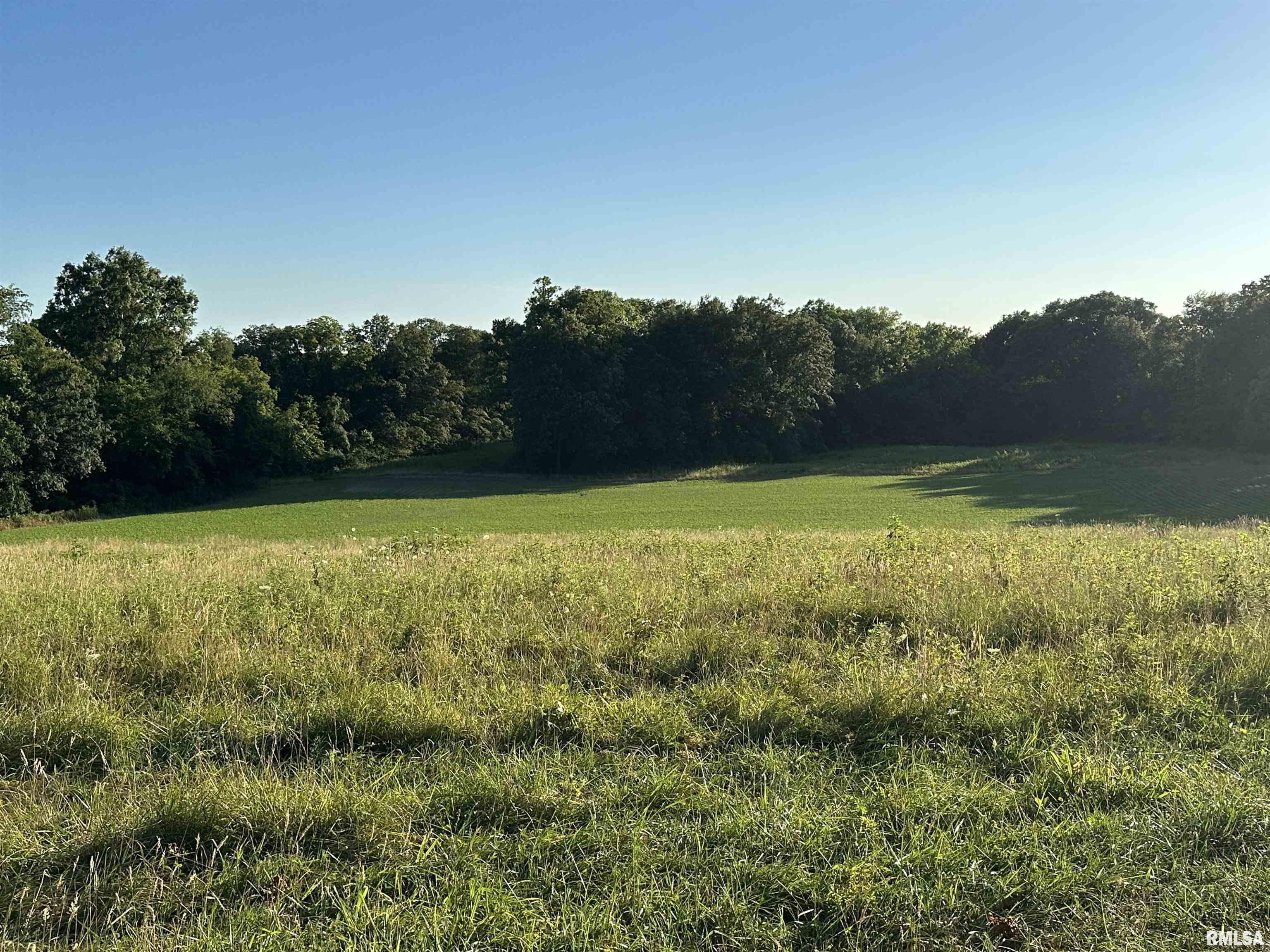 10965 East 700th Avenue Watson, IL 62473 - Photo 31 of 97