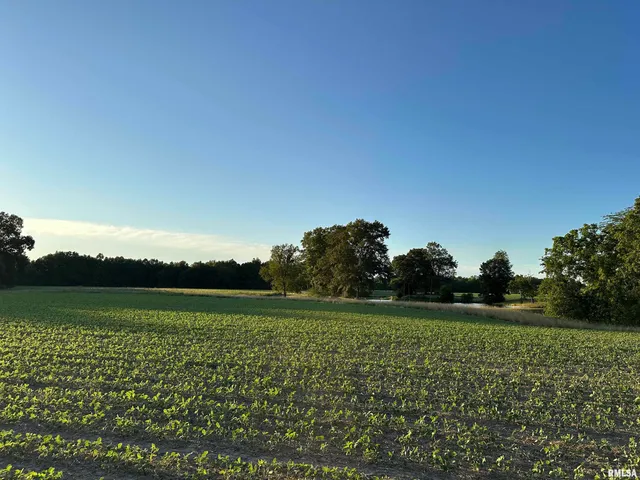 $1,200,000 | 10965 East 700th Avenue, Watson, IL 62473