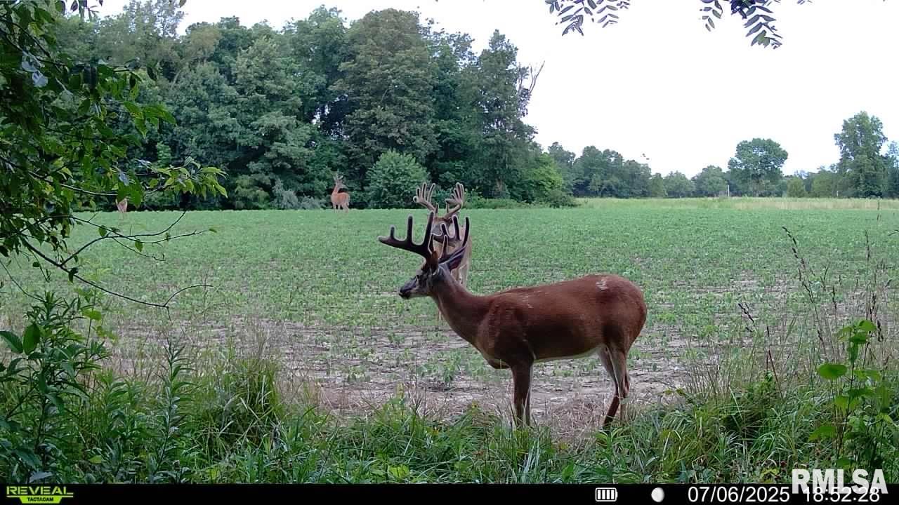 10965 East 700th Avenue Watson, IL 62473 - Photo 52 of 97