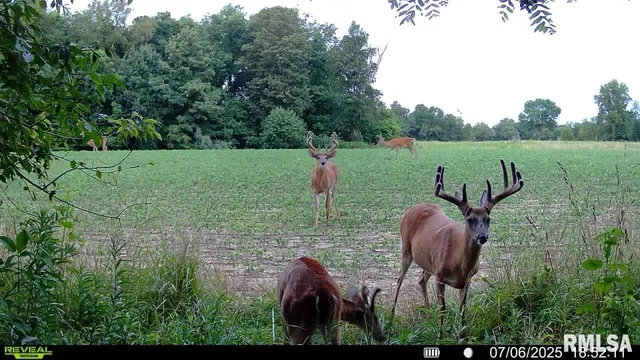 $1,200,000 | 10965 East 700th Avenue, Watson, IL 62473