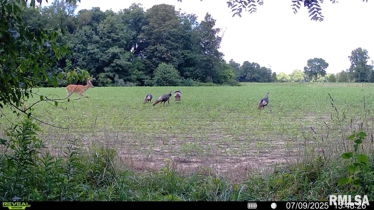 10965 East 700th Avenue Watson, IL 62473 - Photo 54 of 97