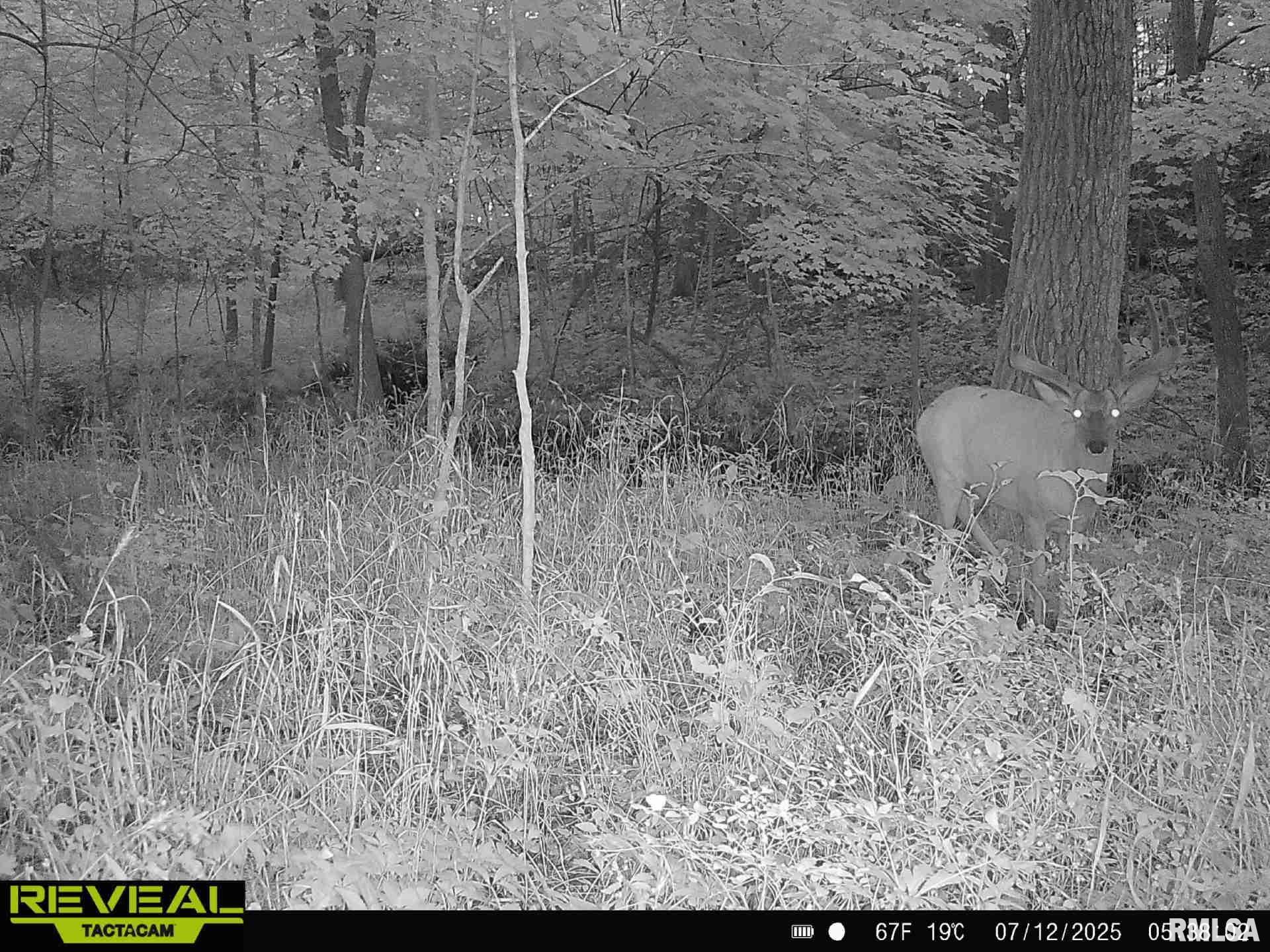 10965 East 700th Avenue Watson, IL 62473 - Photo 55 of 97