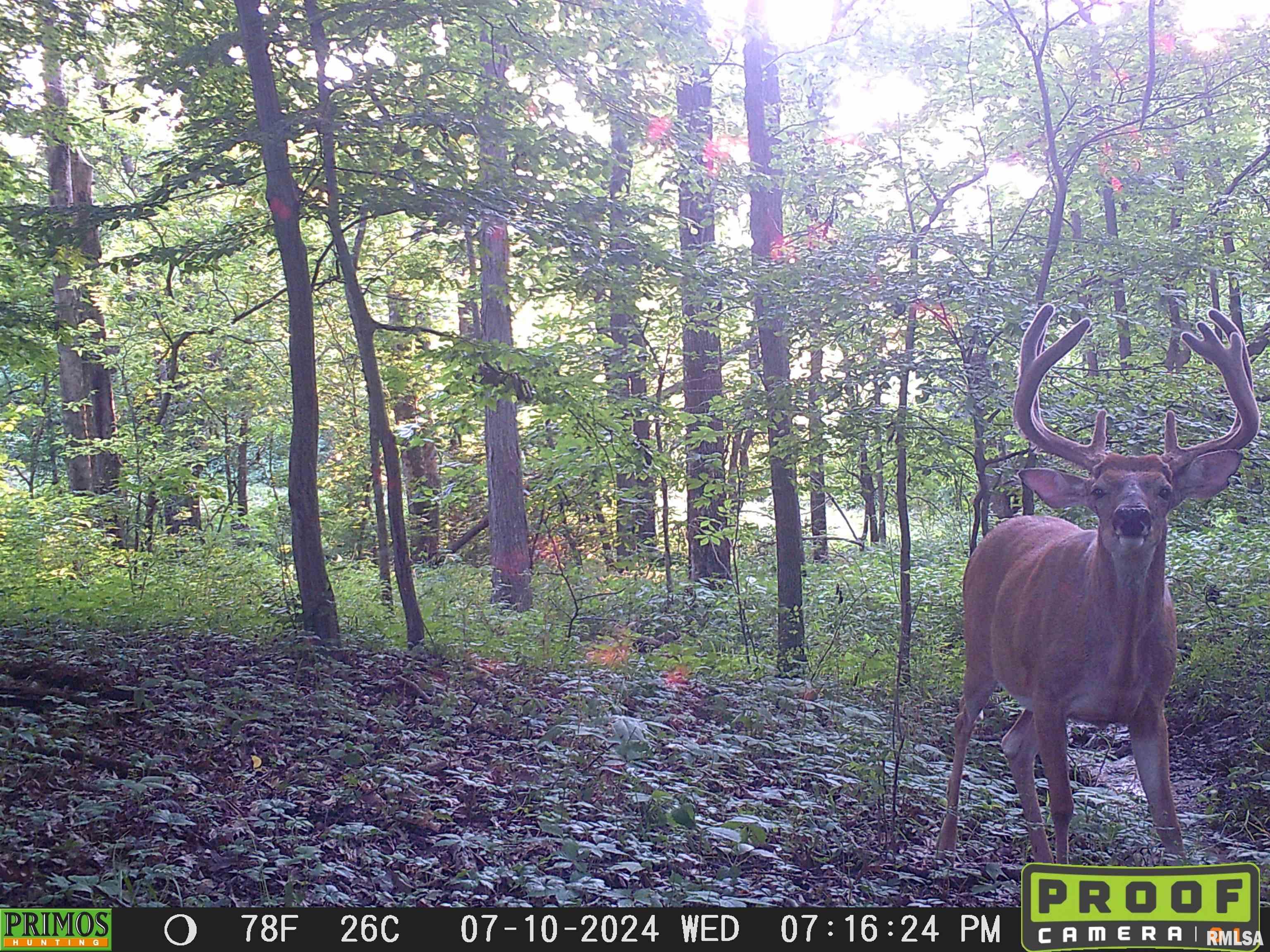 10965 East 700th Avenue Watson, IL 62473 - Photo 56 of 97