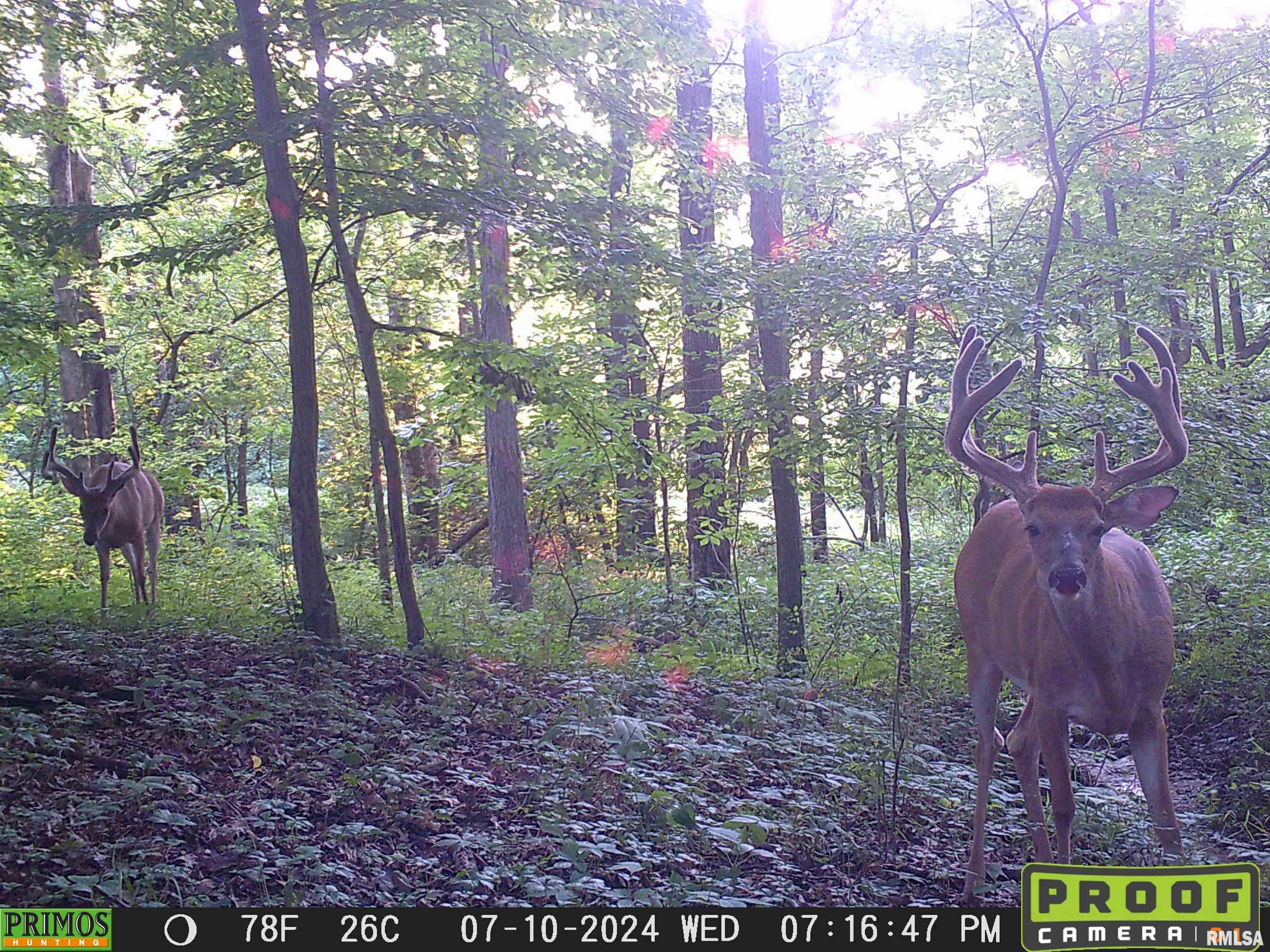 10965 East 700th Avenue Watson, IL 62473 - Photo 57 of 97