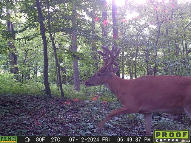 $1,200,000 | 10965 East 700th Avenue, Watson, IL 62473