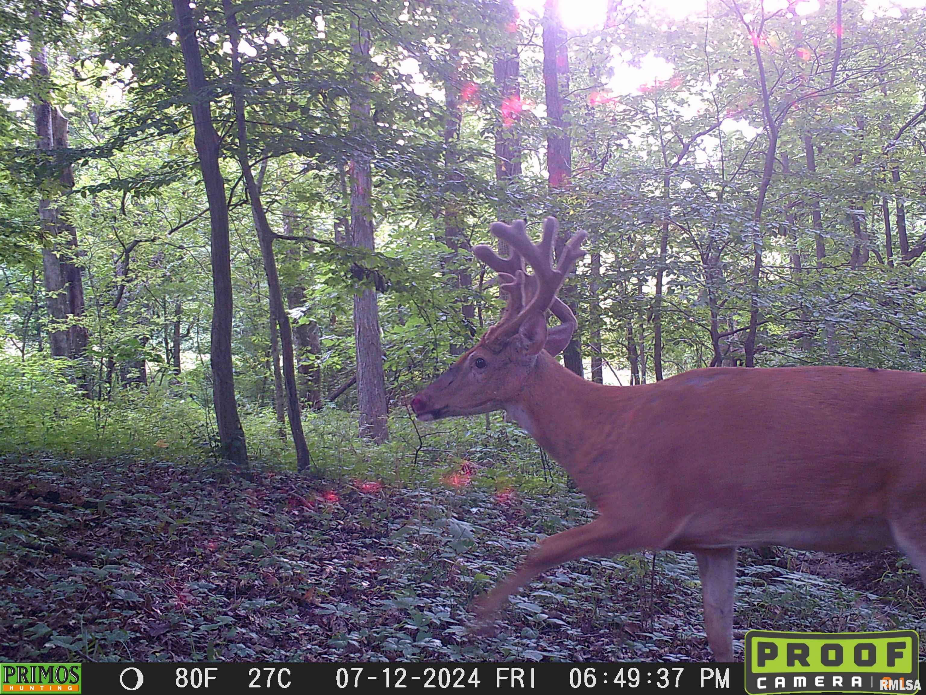 10965 East 700th Avenue Watson, IL 62473 - Photo 58 of 97