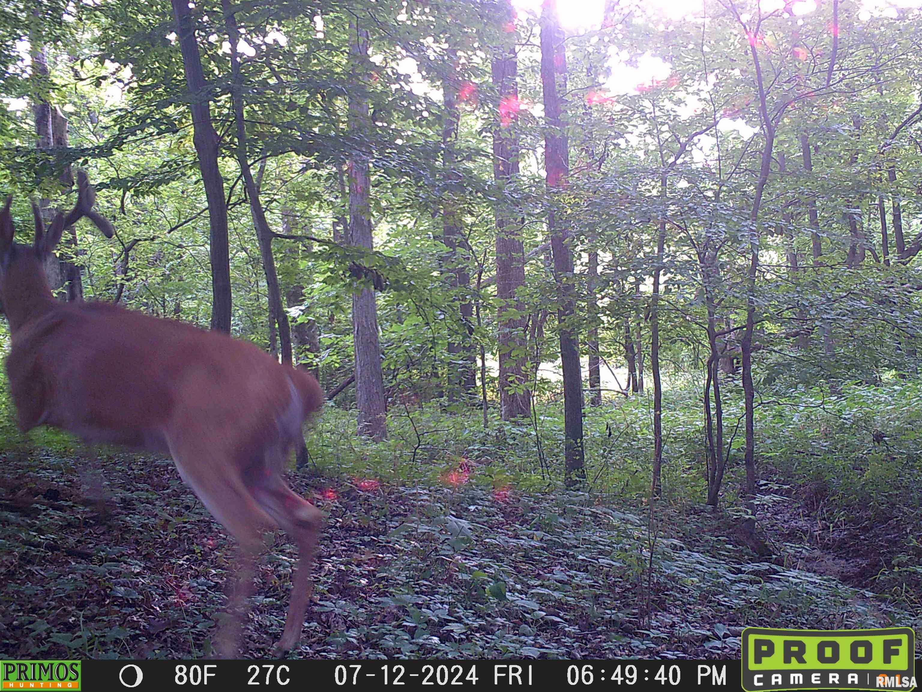 10965 East 700th Avenue Watson, IL 62473 - Photo 59 of 97