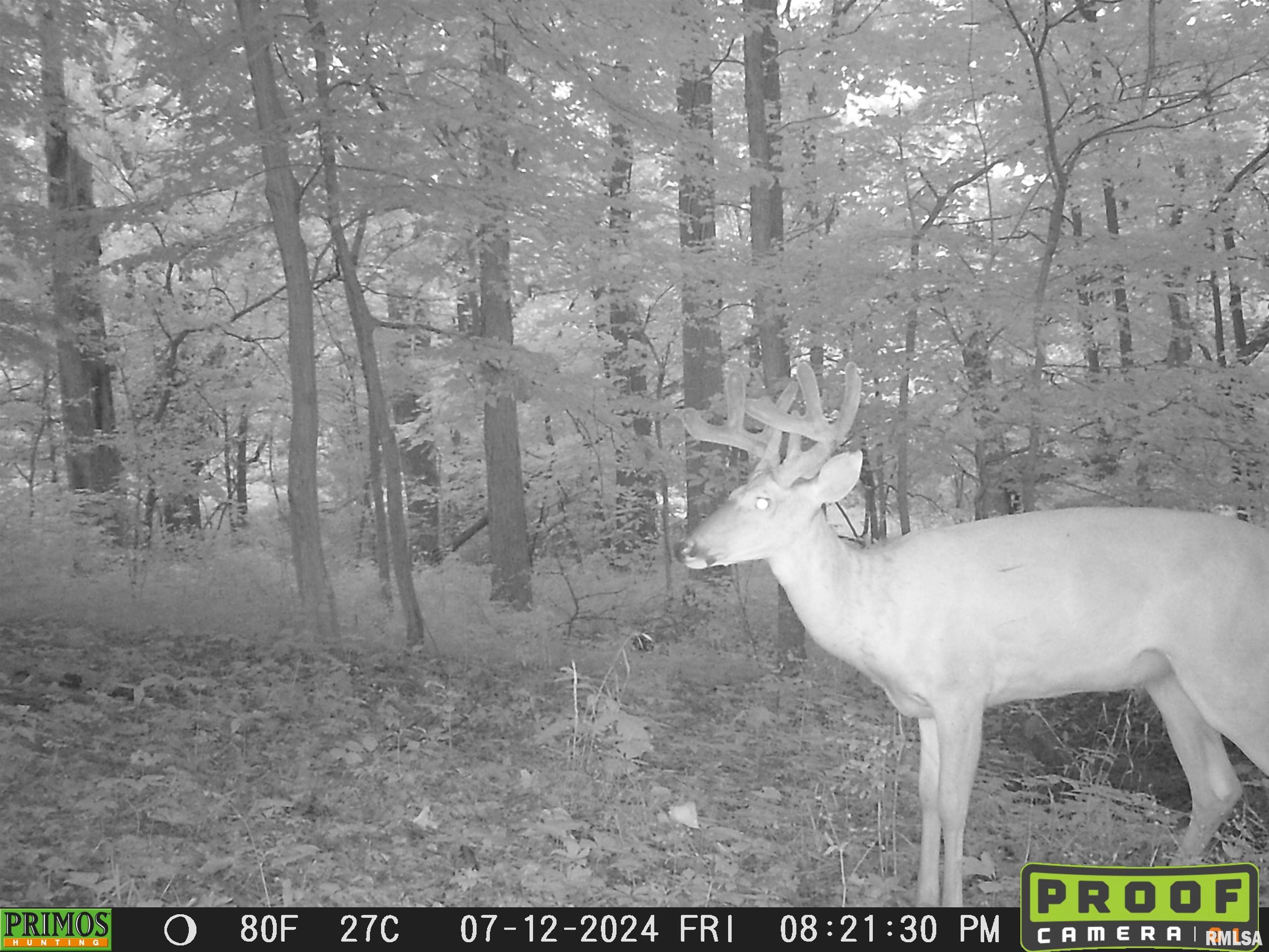 10965 East 700th Avenue Watson, IL 62473 - Photo 60 of 97