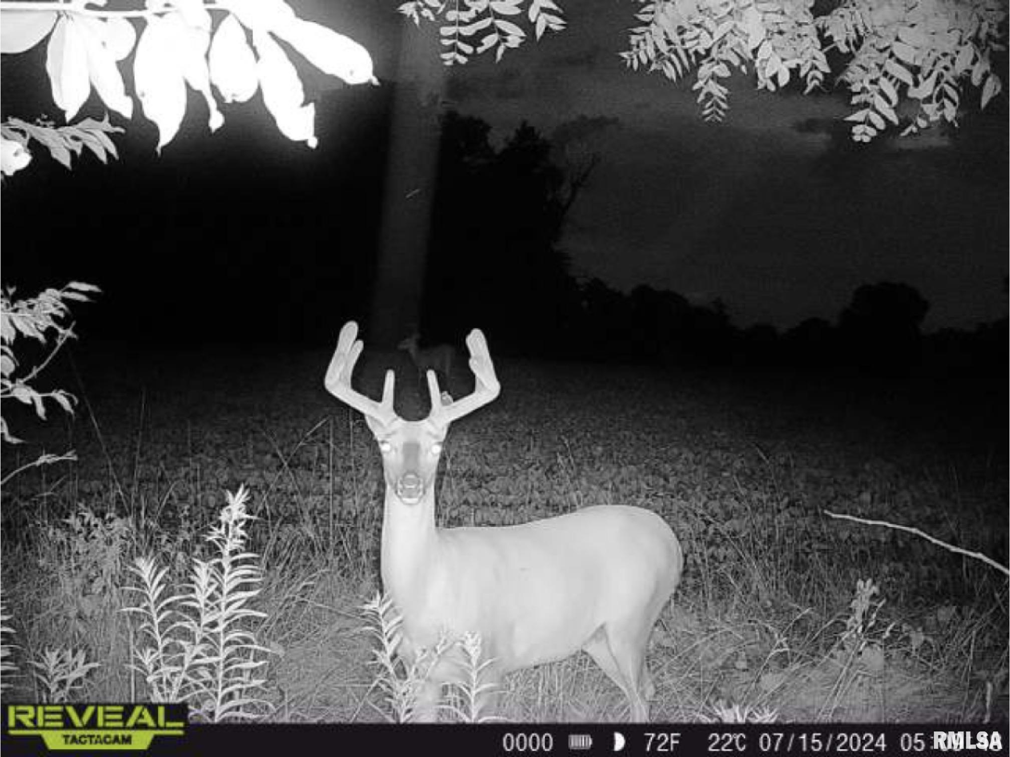 10965 East 700th Avenue Watson, IL 62473 - Photo 61 of 97