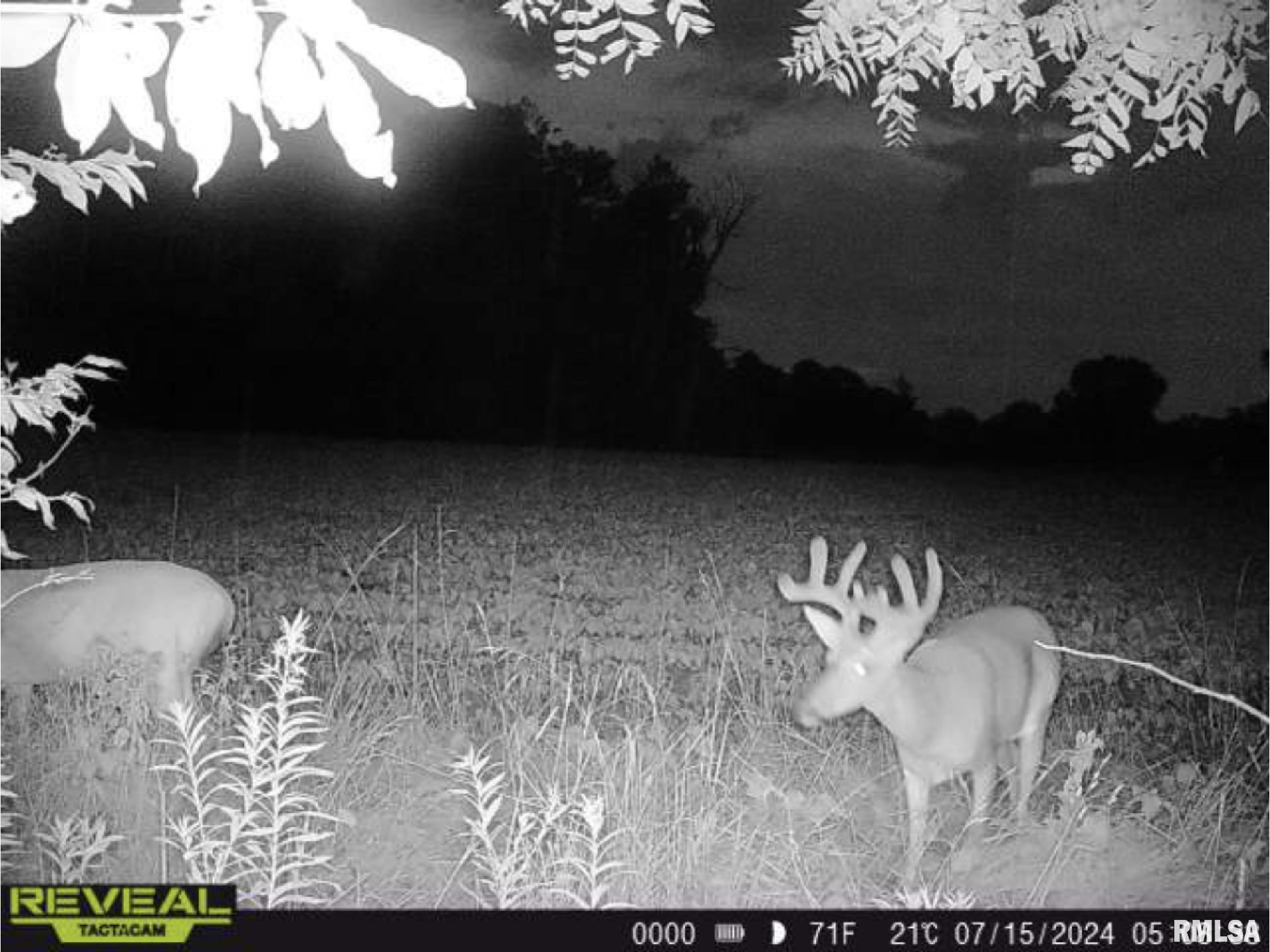 10965 East 700th Avenue Watson, IL 62473 - Photo 62 of 97