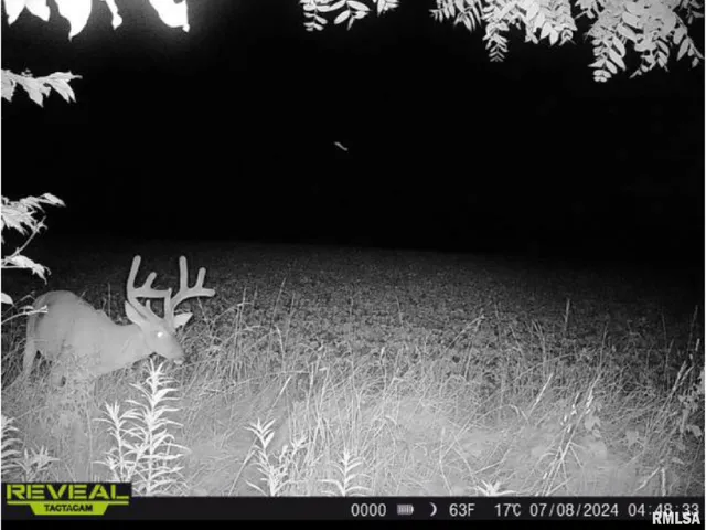 $1,200,000 | 10965 East 700th Avenue, Watson, IL 62473