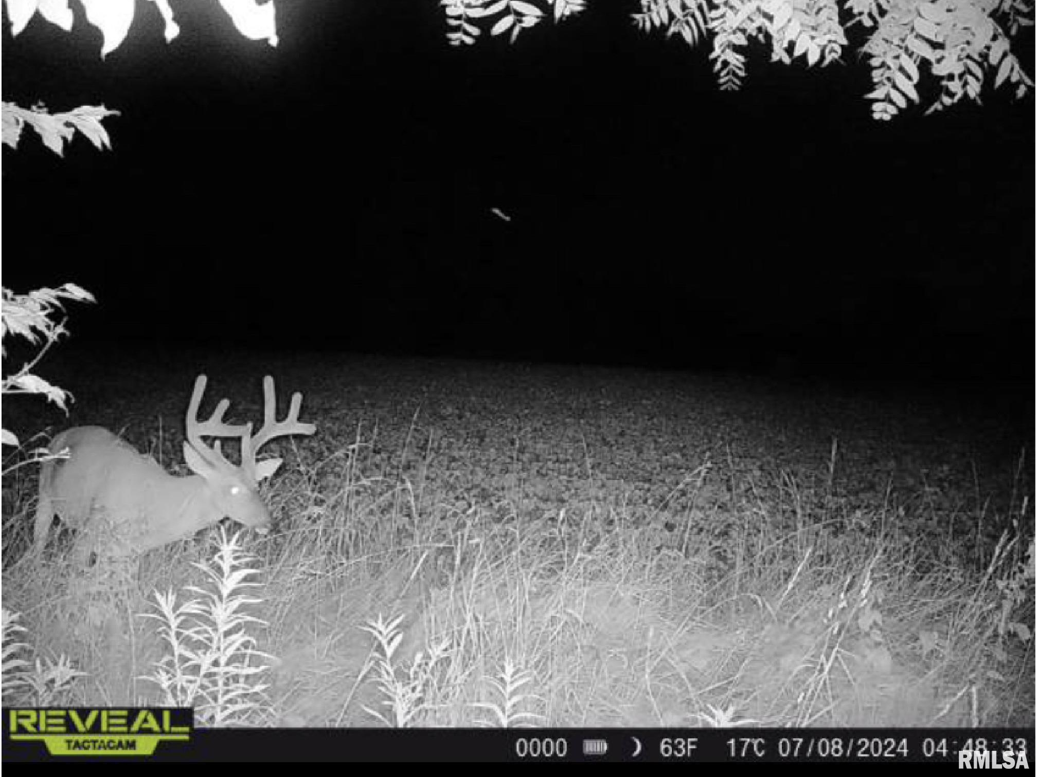 10965 East 700th Avenue Watson, IL 62473 - Photo 63 of 97