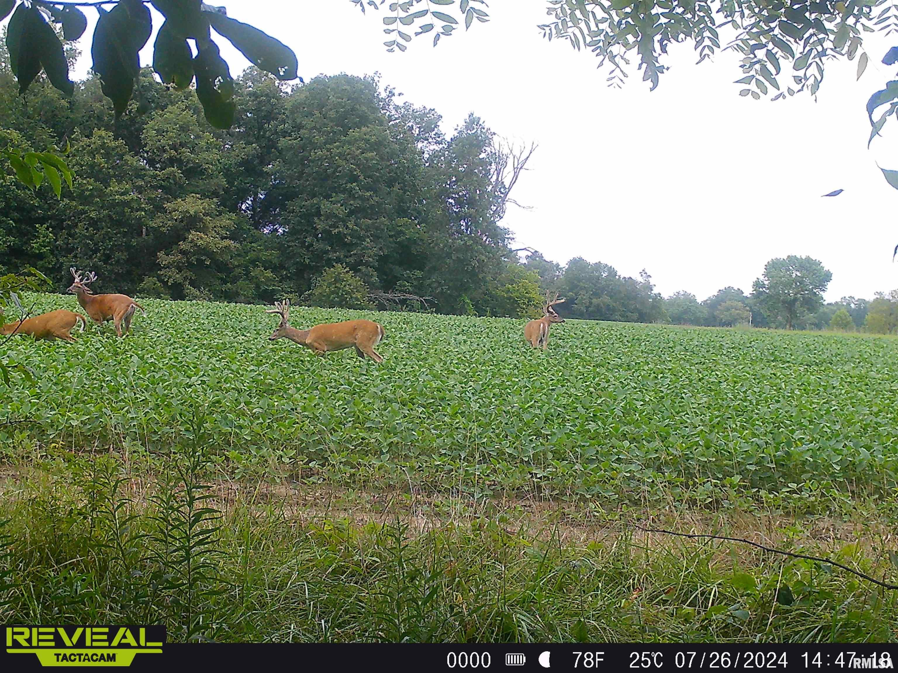 10965 East 700th Avenue Watson, IL 62473 - Photo 64 of 97