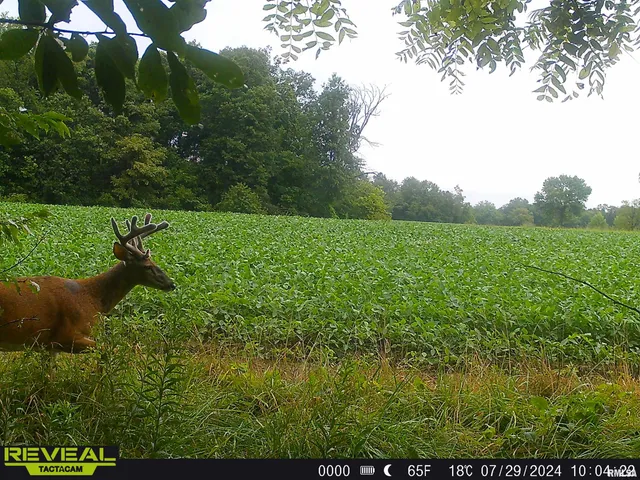 $1,200,000 | 10965 East 700th Avenue, Watson, IL 62473