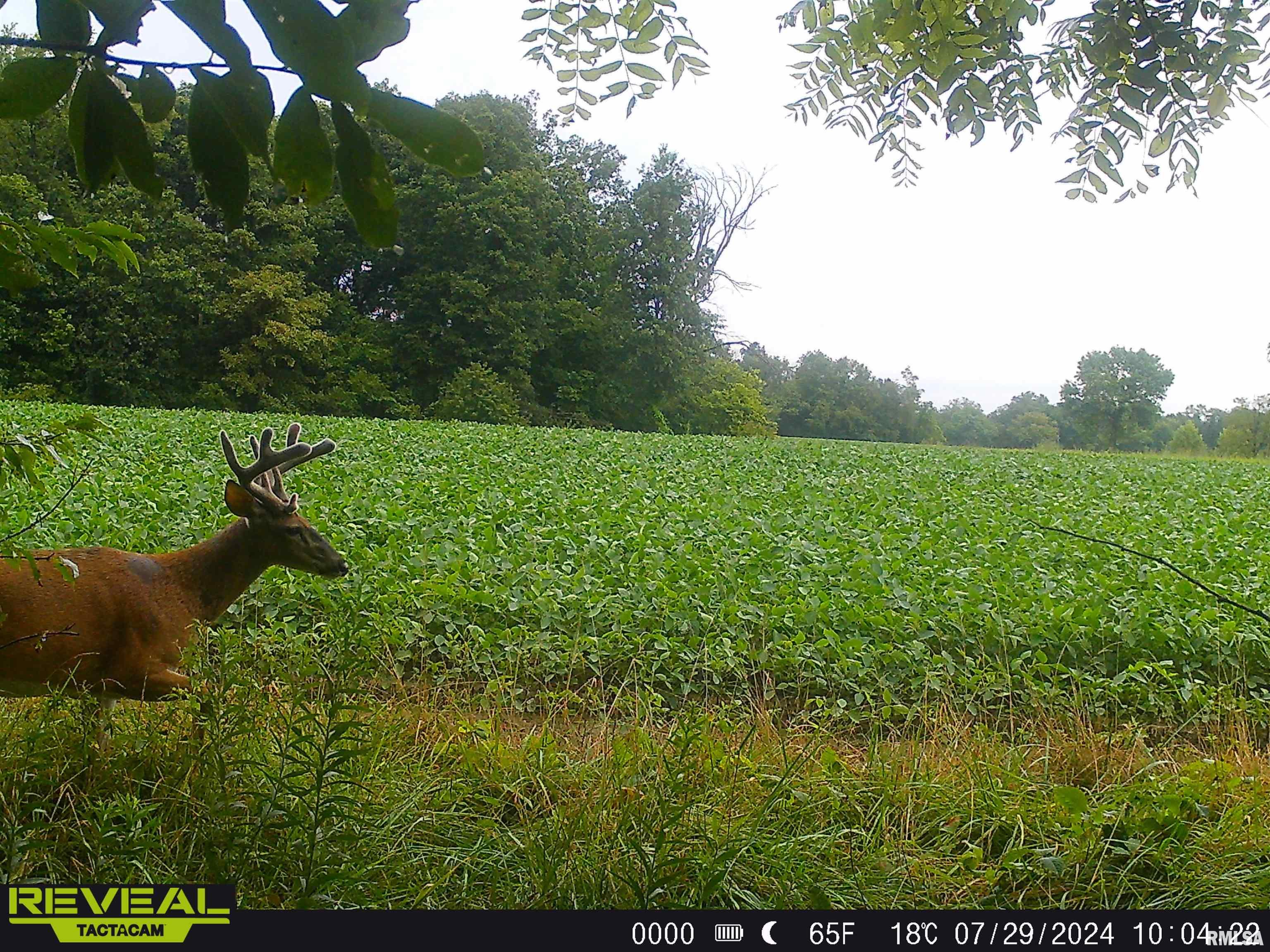10965 East 700th Avenue Watson, IL 62473 - Photo 66 of 97