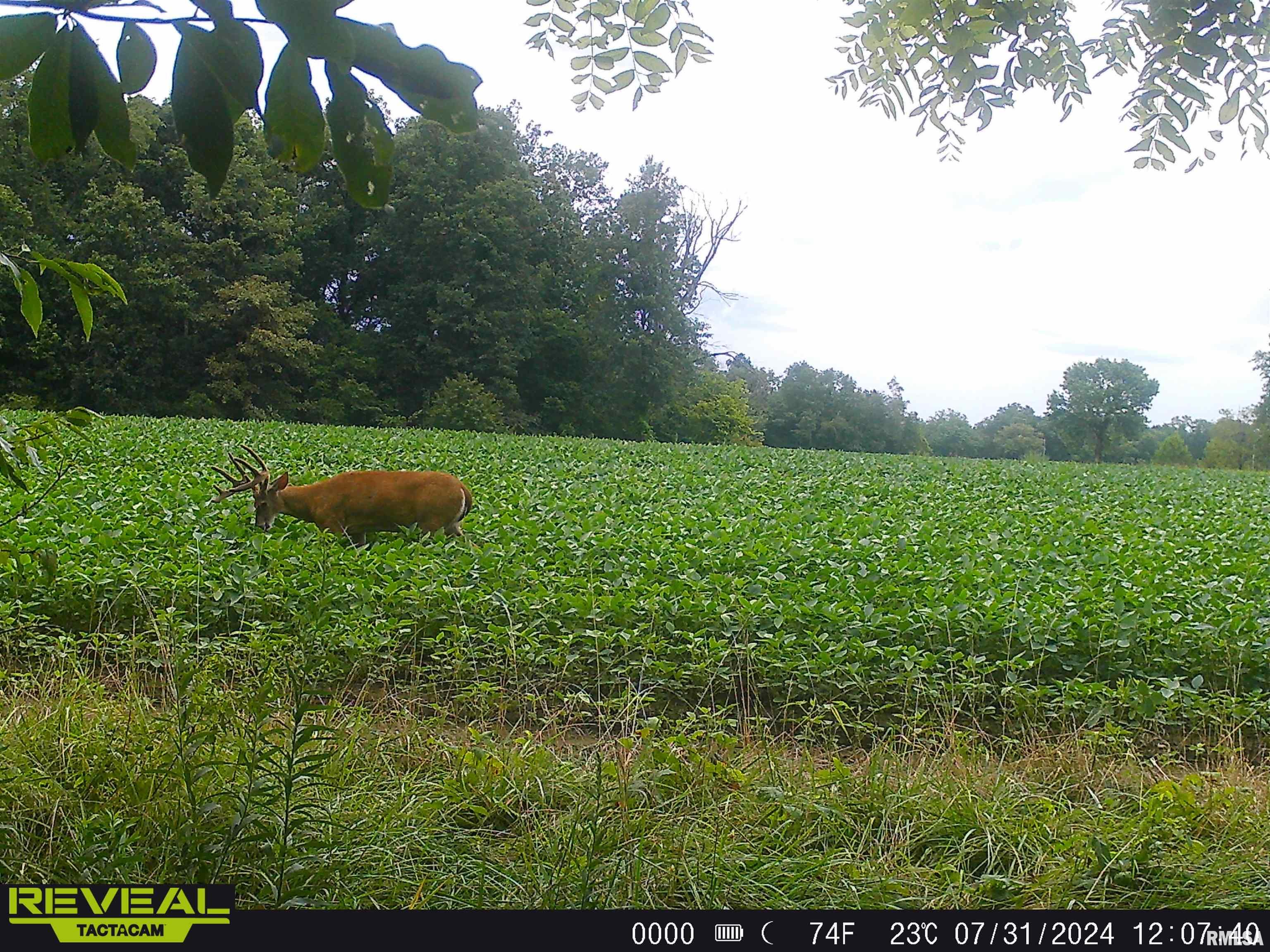 10965 East 700th Avenue Watson, IL 62473 - Photo 67 of 97
